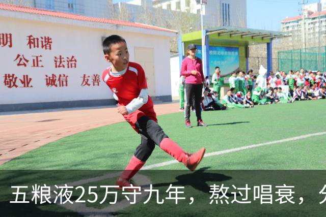 五粮液25万守九年，熬过唱衰，分红复投滚成50万养老钱